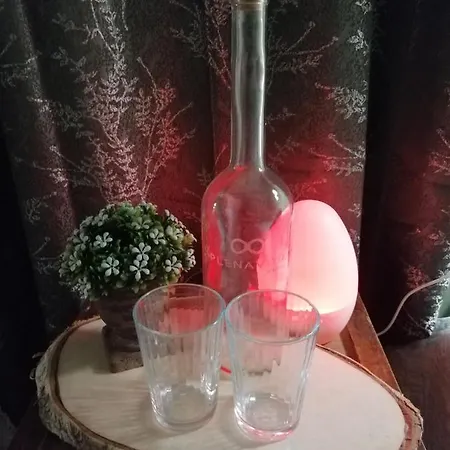 住宿加早餐酒店 Plena