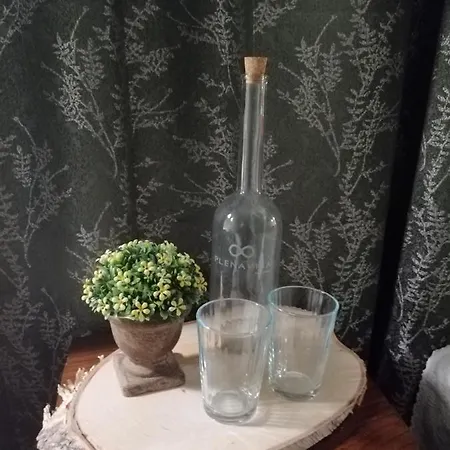 Plena Bed & Breakfast *